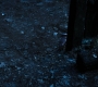HOTN3_1396.jpg