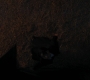 HOTN3_1439.jpg