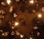 HOTN3_1464.jpg