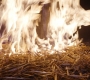 HOTN3_1570.jpg