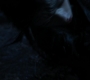 HOTN3_1657.jpg