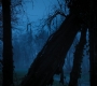 HOTN3_1697.jpg