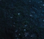 HOTN3_1704.jpg