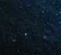 HOTN3_1705.jpg
