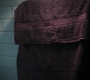 HOTN3_2301.jpg