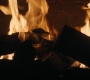 HOTN3_2363.jpg