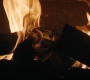 HOTN3_2364.jpg