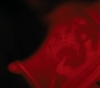 Filename=HOTN3_2478.jpg
Filesize=52KiB
Dimensions=1920x1032
Date added=Mar 04, 2023 HOTN3_2478.jpg