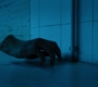HOTN4_0041.jpg