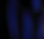 HOTN4_0755.jpg