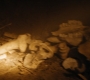 HOTN4_1037.jpg