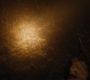 HOTN4_1039.jpg