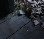 HOTN4_1071.jpg