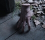 HOTN4_1072.jpg