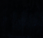 HOTN4_2460.jpg