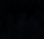 HOTN4_2461.jpg