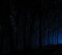 HOTN4_2462.jpg