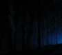 HOTN4_2463.jpg