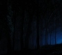 HOTN4_2464.jpg
