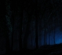 HOTN4_2465.jpg