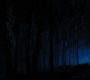 HOTN4_2466.jpg
