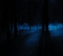 HOTN4_2477.jpg