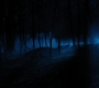 HOTN4_2479.jpg