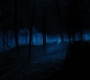 HOTN4_2480.jpg