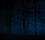 HOTN4_2483.jpg