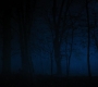 HOTN4_2484.jpg