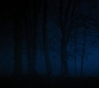 HOTN4_2485.jpg