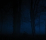 HOTN4_2486.jpg