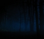 HOTN4_2489.jpg
