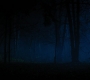 HOTN4_2490.jpg