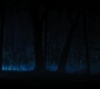 HOTN4_2493.jpg