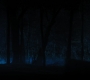 HOTN4_2494.jpg