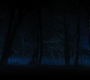 HOTN4_2496.jpg