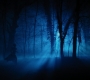 HOTN4_2517.jpg