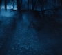 HOTN4_2545.jpg
