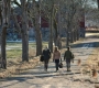 HOTN2_0078.jpg