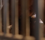 HOTN2_0081.jpg