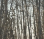 HOTN2_1196.jpg