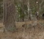 Filename=HOTN2_1216.jpg
Filesize=325KiB
Dimensions=1920x960
Date added=Mar 11, 2023 HOTN2_1216.jpg